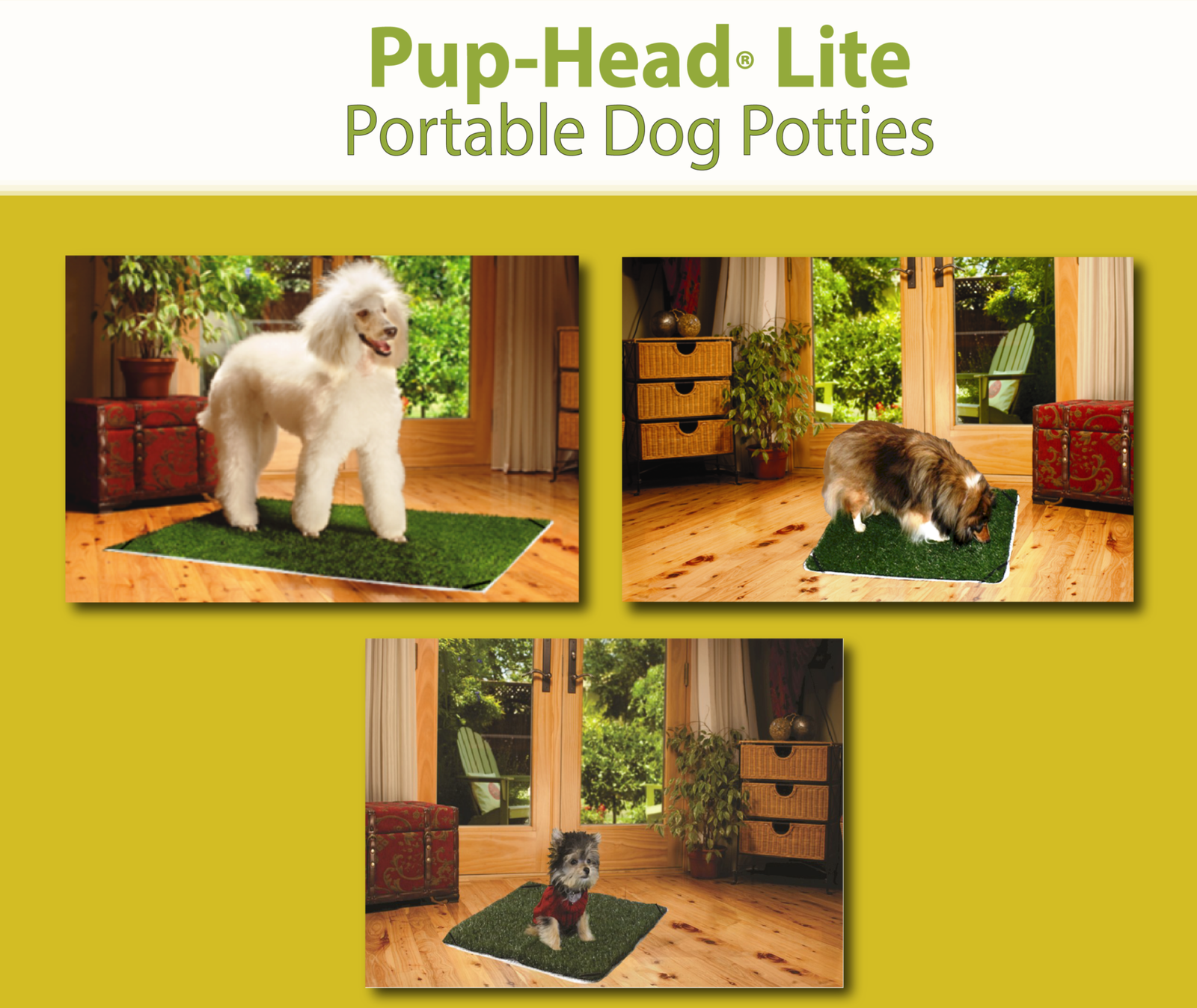 pup-head-lite-award-winning-portable-dog-potty